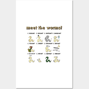 meet the worms Posters and Art